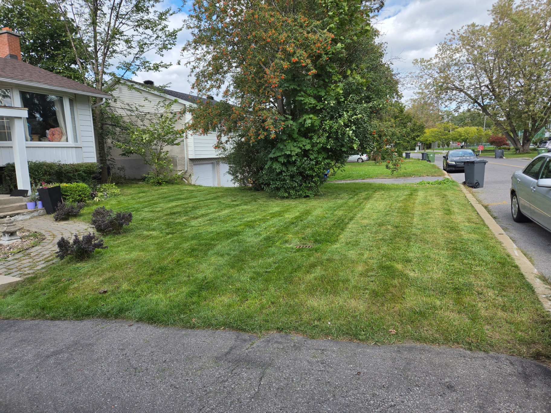 Freshly mowed residential front lawn with visible mowing stripes in Montreal's West Island – MJ Landscaping.