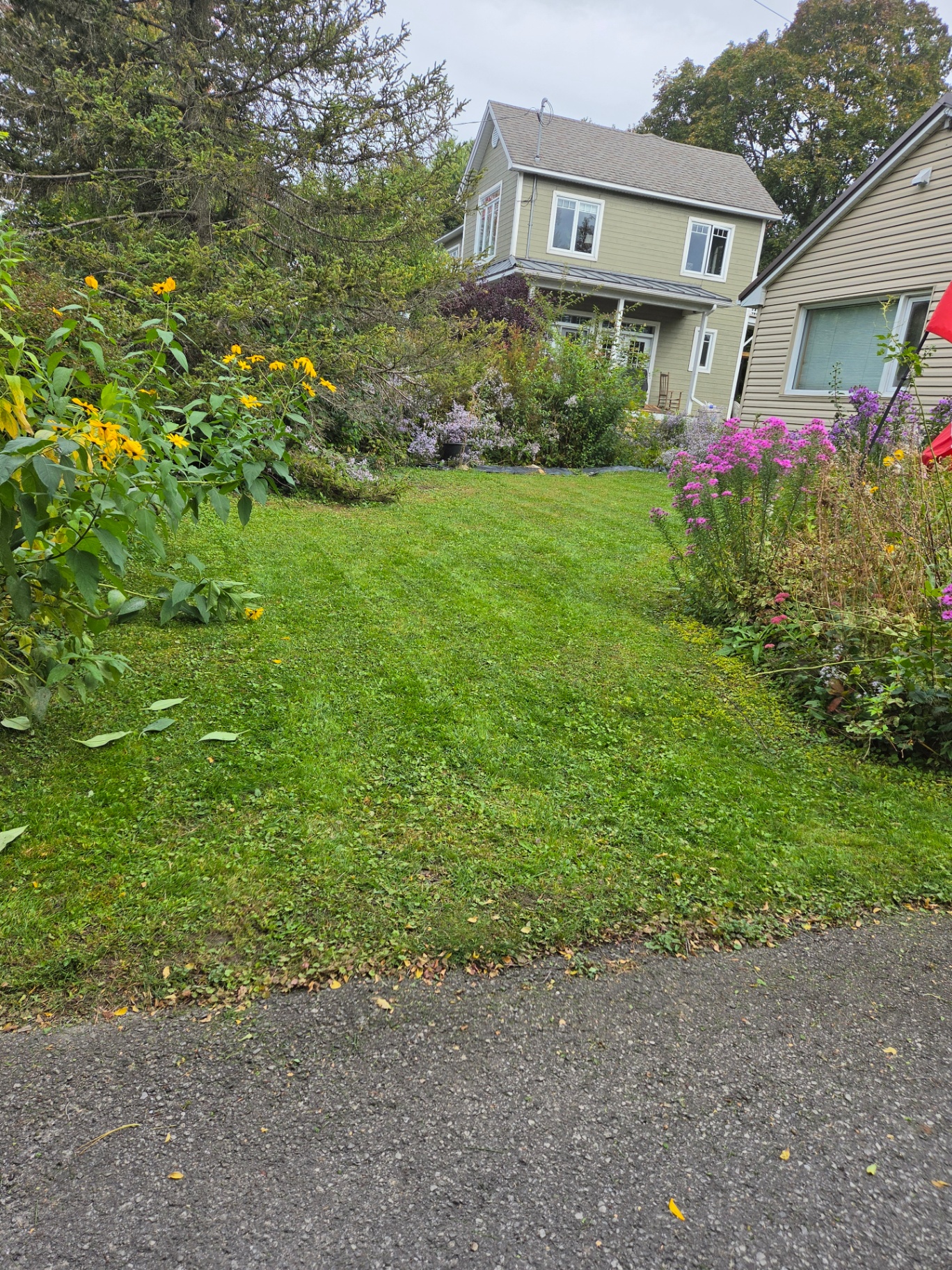 Maintained residential lawn bordered by colourful garden beds