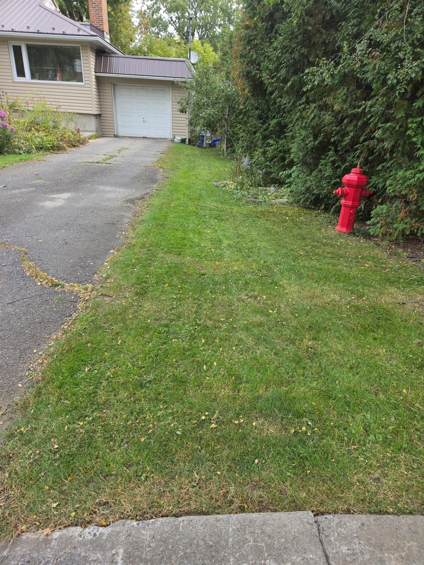 Cleanly cut lawn edge beside a driveway and hedge