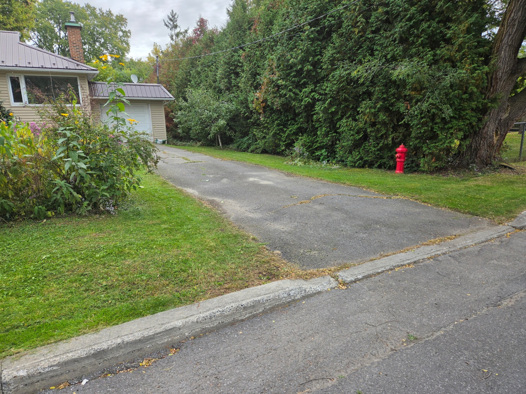 Freshly maintained grass along a residential driveway
