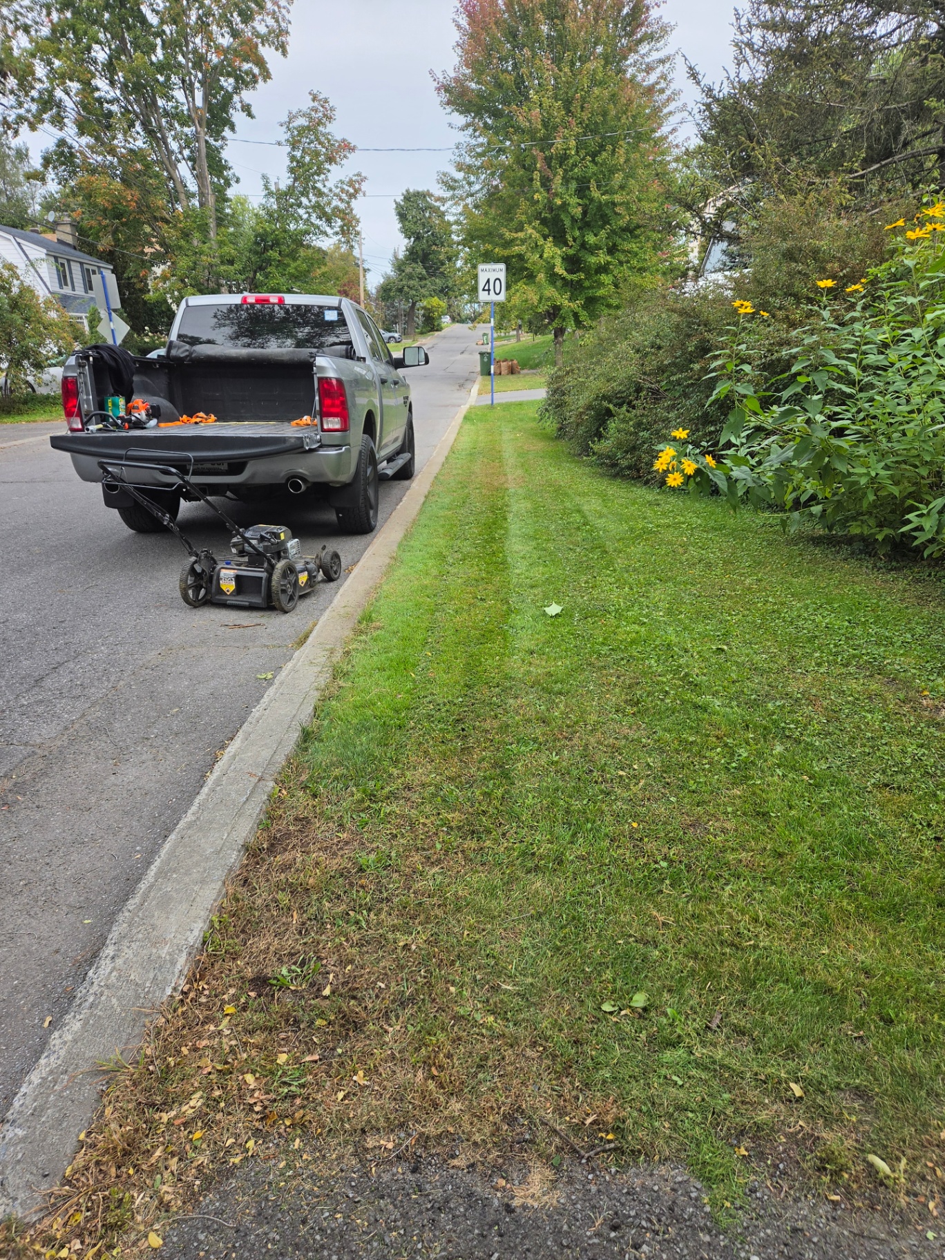 MJ Landscaping truck and lawn mower beside a freshly cut lawn