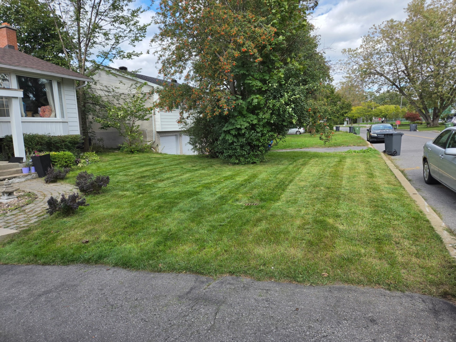 Tree-lined West Island Montreal residential street with well-kept front lawns
