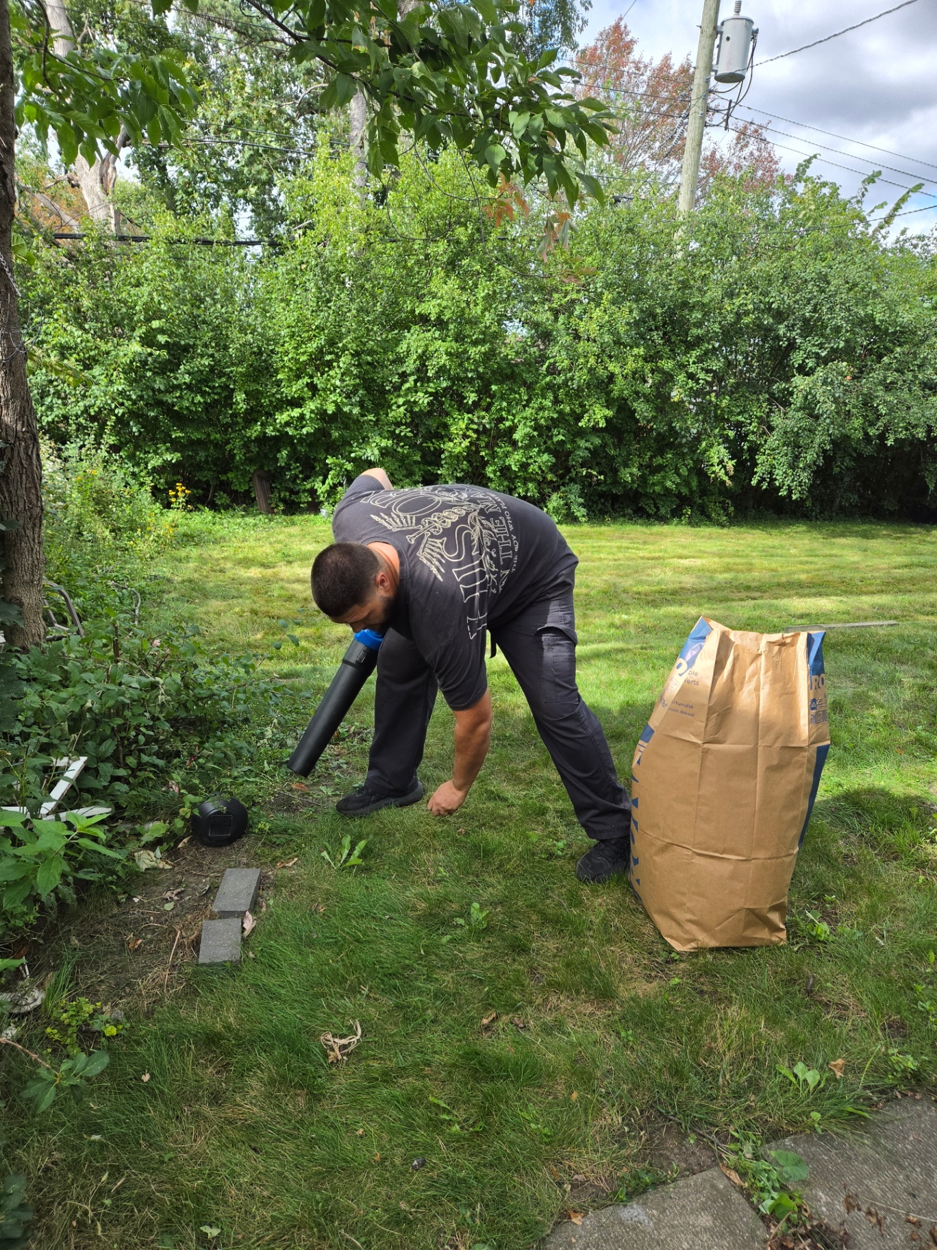 Fall / Leaf Cleanups