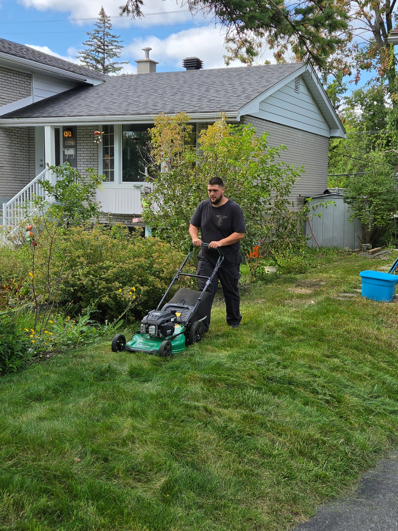 Lawn Mowing